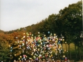 Bücherei EK 11.2004-5