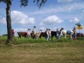 Ferienspaß in Engelskirchen -Lamatrekking- Juli 2008