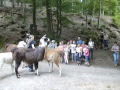 BILD1561.JPG